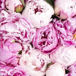 Meet your Posher, Elaine